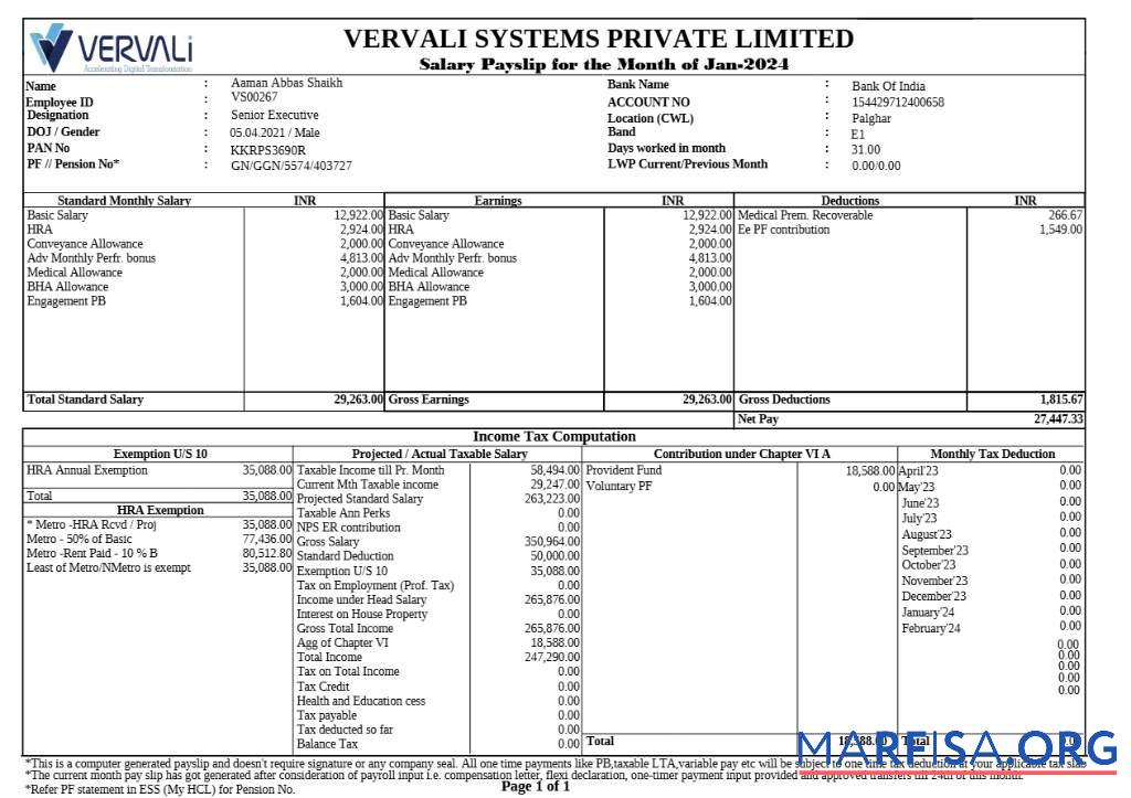 Blank Vervali Systems software company payslip template